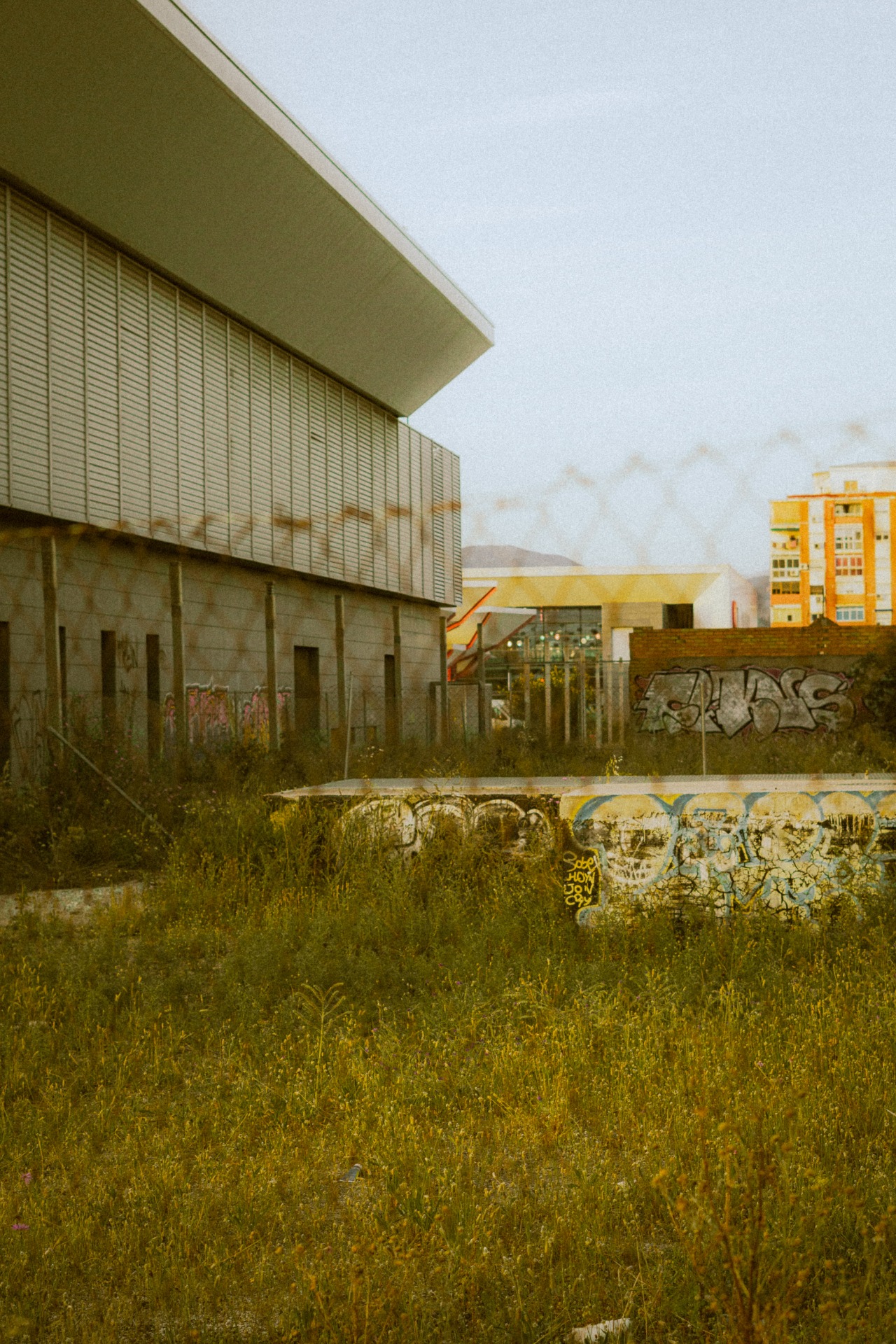RT14 Golden Film PRESET 