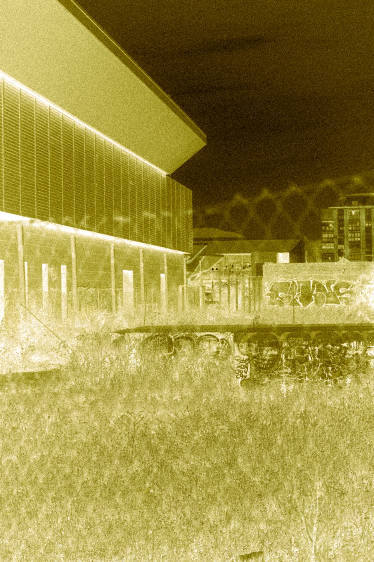RT30 Golden Negative PRESET 